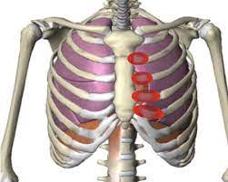 What part of the sternum is involved in the sternoclavicular articulation? Costochondritis Chest Wall Pain Rib Injury Clinic
