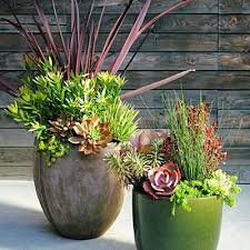 Coolest Container Gardens 58 Ideas For
