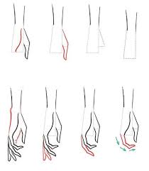 Hold your hand with your thumb pointing to you and your little finger pointing away from you, bend the palm and observe the location of the knuckles. 20 Drawing Hand Step By Easy How To Draw Hand Do It Before Me