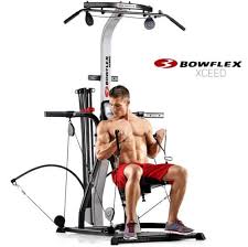 push pull legs bowflex workout