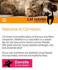 God bless the usa (1) god bless the usa (2) i only want to say: Cat Haven On Twitter Now Even Easier To Donate Click The Pink Donate Button To Help Cats Kittens In Need