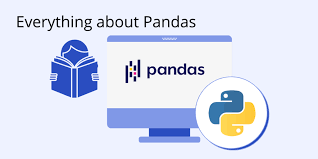 what is pandas in python everything