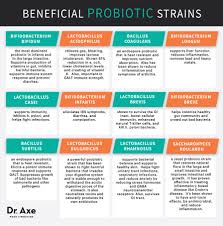 Pin By Carolyn Renner Nutrition Works 4 Life On Probiotics