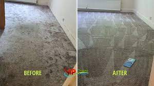 ᐉ carpet cleaning services rug