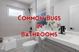 29 common bugs in bathrooms and how to