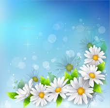 flower backgrounds 30 free jpg png
