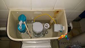 replace toilet flush system plumber