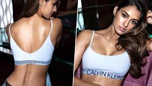 Disha Patani Shares New Racy Pics In Calvin Klein Sports Bra