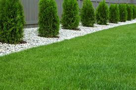why fake lawn could be a good idea for