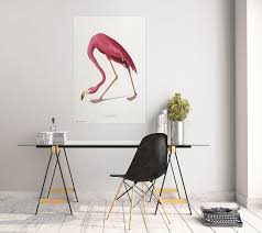 Poster American Flamingo Wall Art