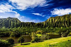 explore breathtaking oahu botanical