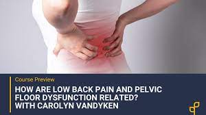 how are low back pain and pelvic floor