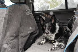 Dog Car Seat Cover Dog Hammock Dog