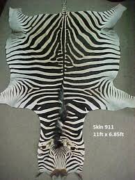 zebra skins african rugs real hides