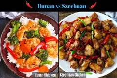 What is the difference between Hunan and Szechuan style?