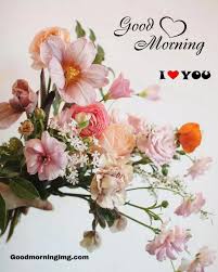 All of the images are. 103 Good Morrning Flowers Images Photos Free Download