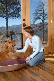 Hale Pet Door Denver