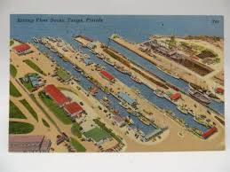 vintage florida postcard shrimp fleet