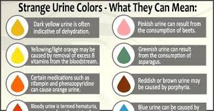 Image Result For Urine Color Chart Color Meanings Health
