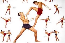 muay thai kickboxing itravel2learn