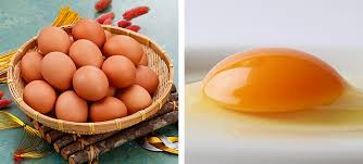 大寒の卵の通販販売 2022年大寒の日に産まれた最もおいしい卵