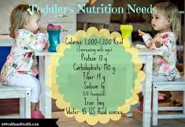 Toddler Nutrition Needs Age 1 3 In Wealth Health