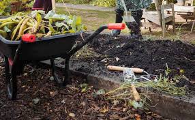 Preparing The Vegetable Garden For Winter