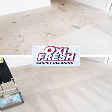 oxi fresh carpet cleaning redmond wa