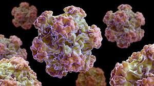 The locations and specific manifestations of infection depend on the type of virus and its mode of transmission. 8 Things You May Not Know About Hpv Everyday Health