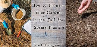 Garden In The Fall For Spring Planting