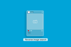 reverse image search on insram
