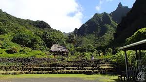 limahuli gardens in haena kauai