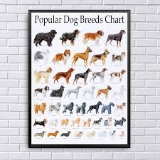 Us 6 63 15 Off Popular Dog Breeds Chart Canvas Posters Painting Wall Art Decorative Home Decor In Painting Calligraphy From Home Garden On