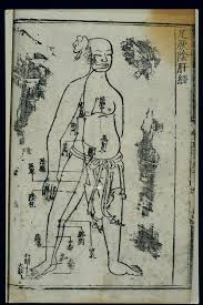 File Acupuncture Chart Liver Channel Of Foot Jueyin