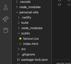 favicon showing up locally deploy