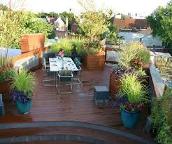 Simple Terrace Garden Maintenance Tips