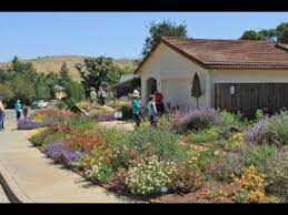 Gardening With California Native Plants
