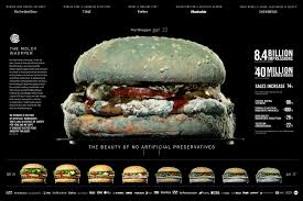 the moldy whopper by burger king