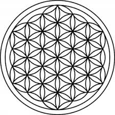 what does mandala flower mean