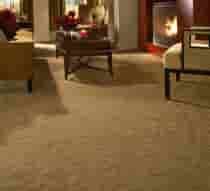 dye carpet auckland service carpet