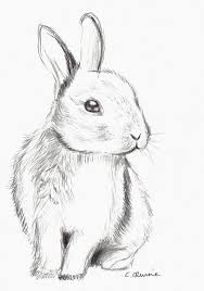 A propos de dessin de lapin. Lapin De Paques A Vos Crayons Dessin Lapin Dessin D Animal Dessin Facile Animaux