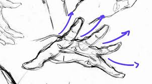 We can now work lines into the drawing to connect and outline the shapes. How To Draw Hands A Step By Step Guide Gvaat S Workshop