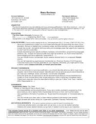 Marketing CV examples and template