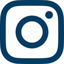 Image result for blue instagram logo