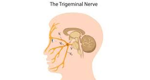 trigeminal neuralgia health tips