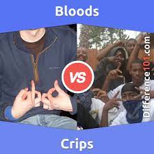 bloods vs crips 7 key differences