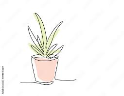 One Line Drawing Of House Plant In Pot