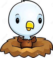 A Cartoon Illustration Of A Baby Eagle In A Nest. Royalty Free Cliparts,  Vectors, And Stock Illustration. Image 42466109.