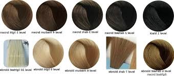 15 Classy Level 6 Hair Color Chart Wa25986 Haircolors