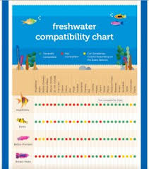 Petco Introduces A Freshwater Compatibility Chart Reefs Com